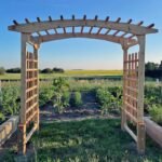 8′ Cedar Walk-Through Garden Arbor - Image 3