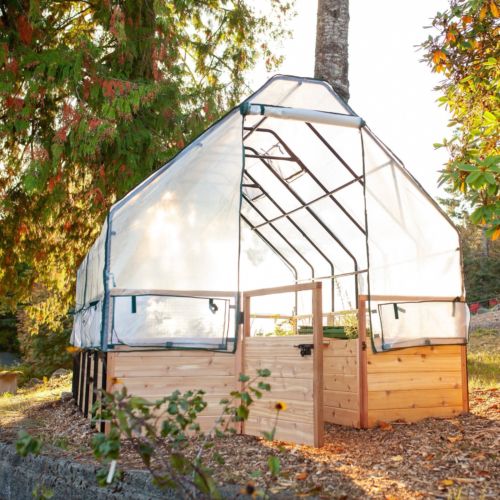 Cedar Raised Garden Bed Greenhouse — Full View