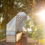 Cedar Complete Raised Garden Bed Kit with Greenhouse Cover 8′ x 12′ - Image 4