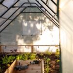 Cedar Complete Raised Garden Bed Kit with Greenhouse Cover 8′ x 12′ - Image 14