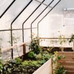 Cedar Complete Raised Garden Bed Kit with Greenhouse Cover 8′ x 12′ - Image 7
