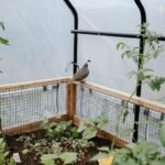 Cedar Complete Raised Garden Bed Kit with Greenhouse Cover 8′ x 12′ - Image 9