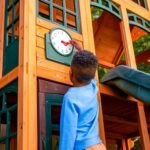 Falcon Ridge Swing Set – Installation Available - Image 11